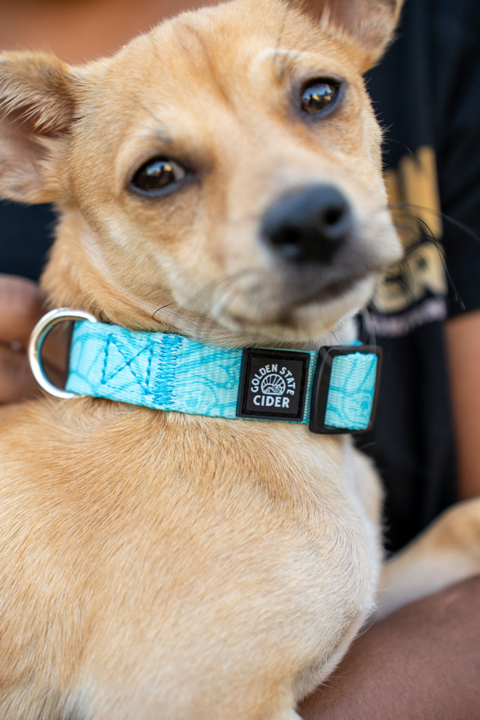 GSC Dog Collar