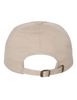 Sea Otter Savvy - GSC Dad Hat