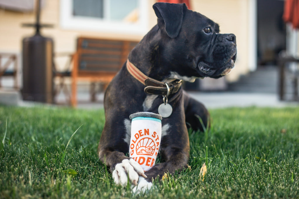 Mighty Dry Dog Toy